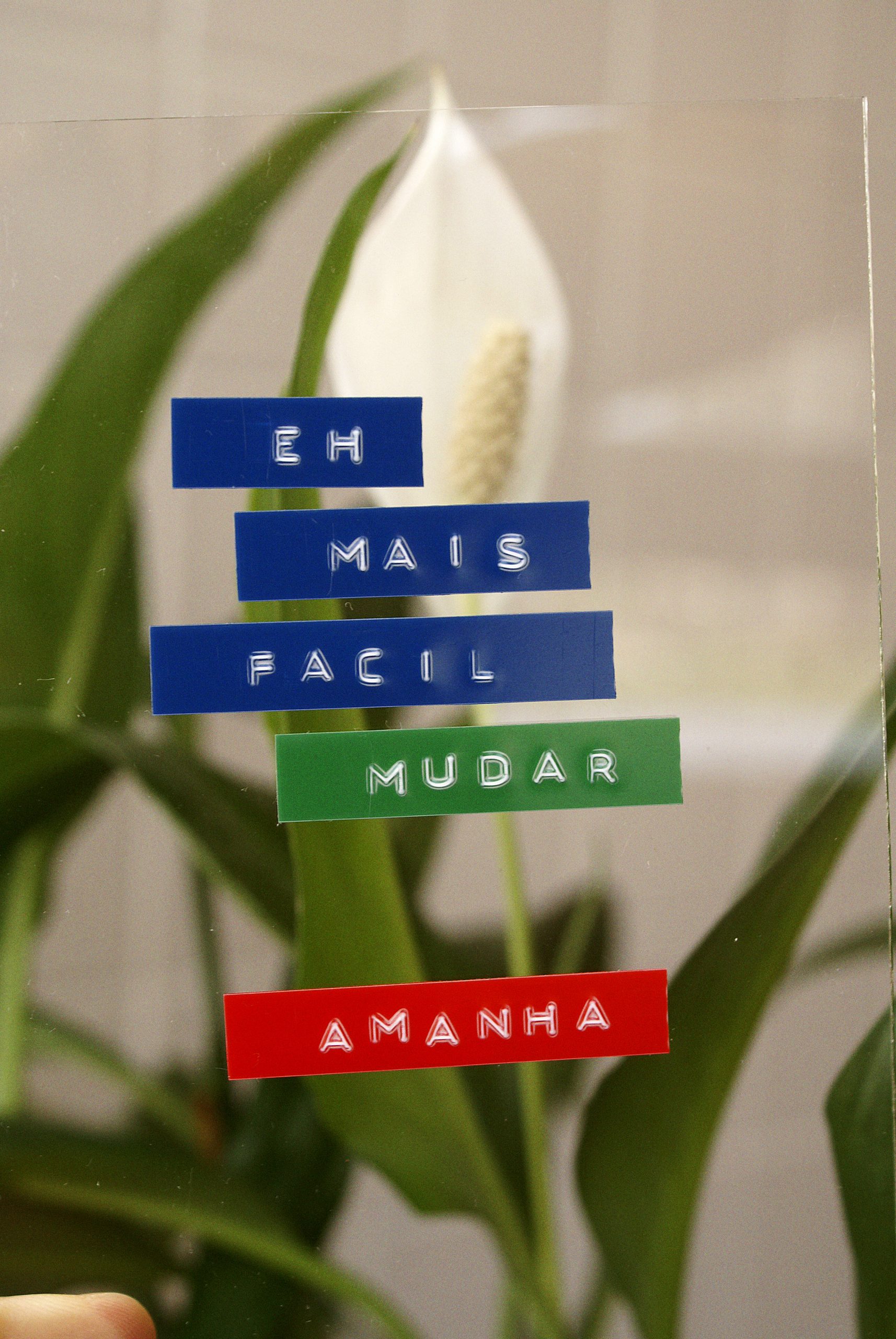 Mmminhoca Marcelo Andrade Art Director